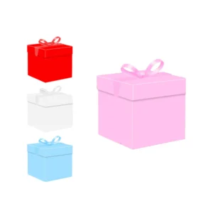 Caja De Regalo Con Tapa 22X22cm Color Aleatorio